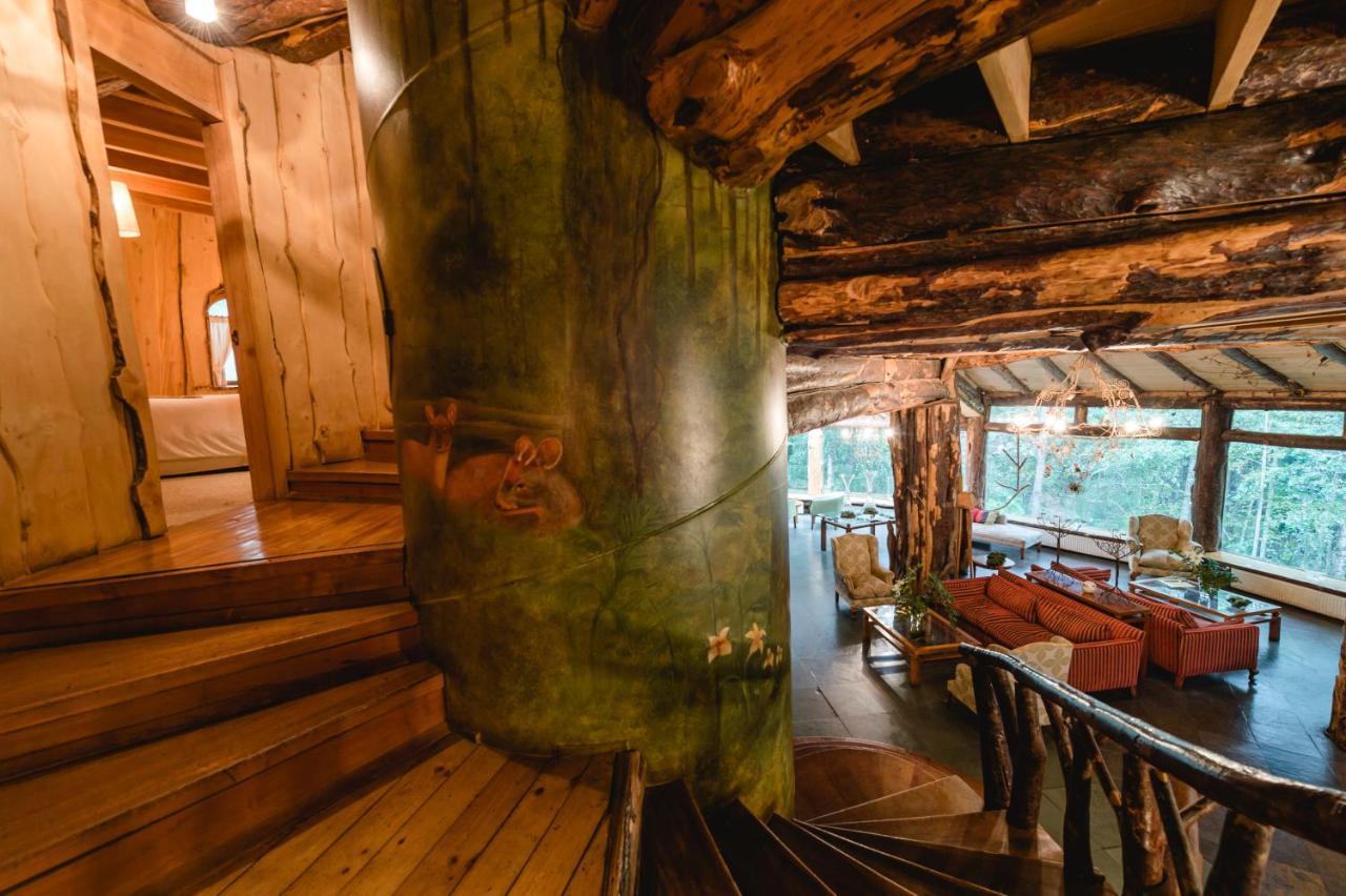 Huilo Huilo Montana Magica Villa Kültér fotó
